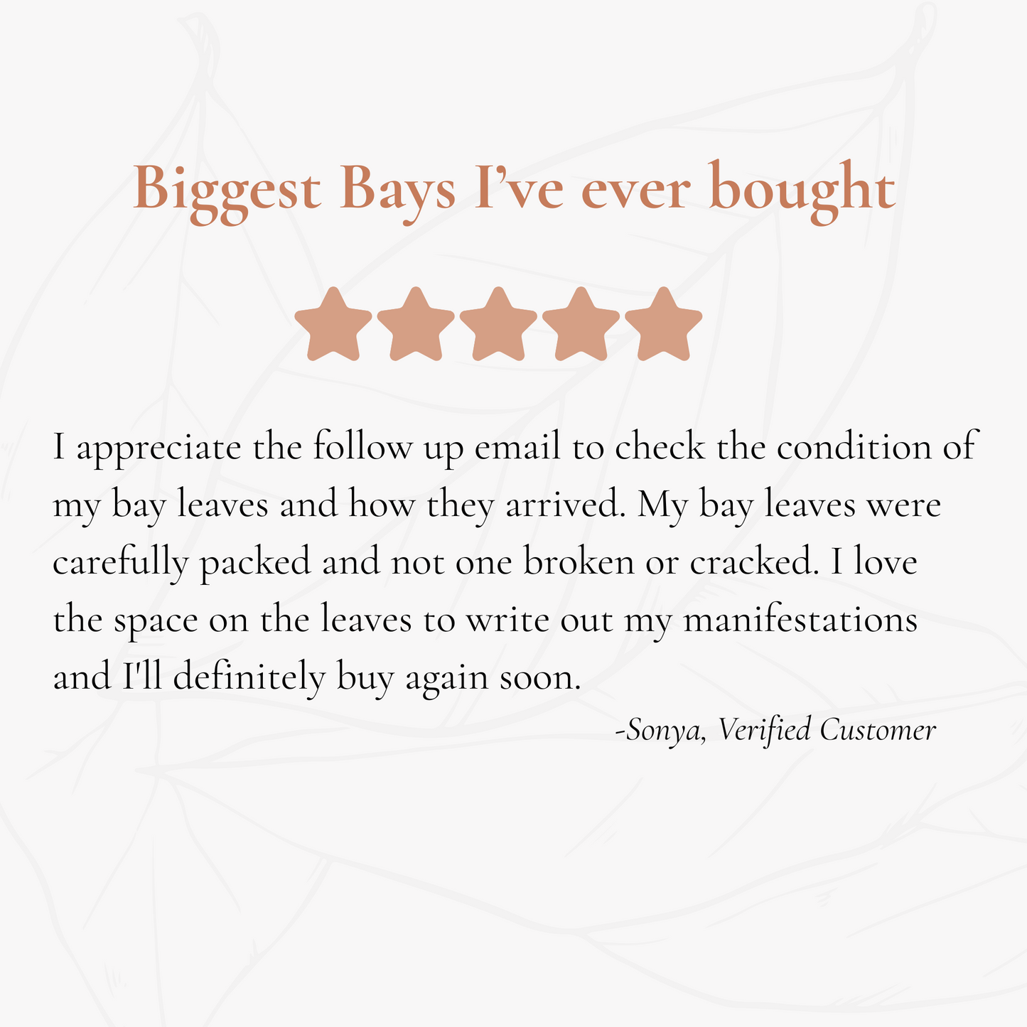 INTENTION // Bay Leaves - 100 Ritual Leaves