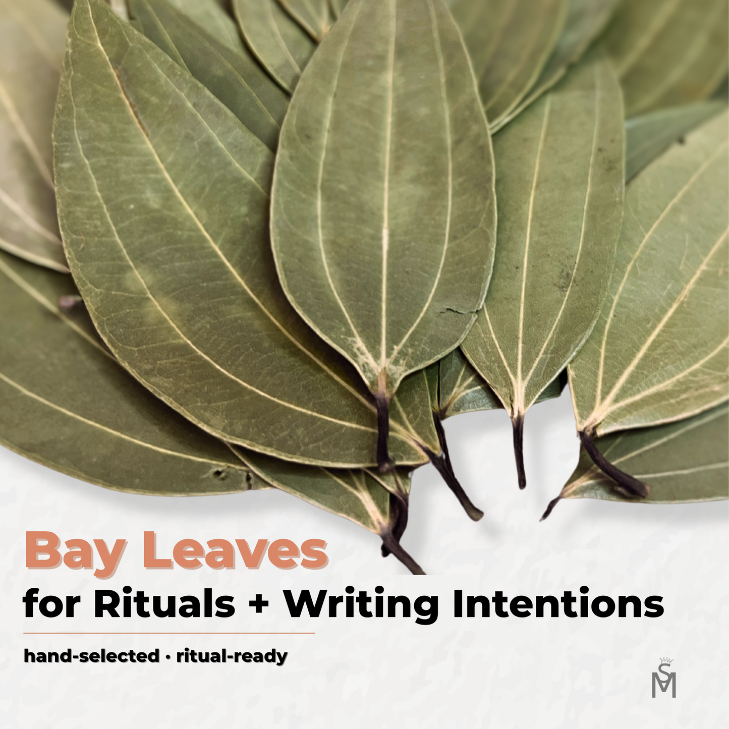 Flatlay of ritual bay leaves fanned out on a minimalist white background with text overlay reading “Bay Leaves for Rituals + Writing Intentions” and a faint shadow for depth. Includes subtle line break below tagline “hand-selected • ritual-ready” and soft paper grain texture for a premium, elevated feel.