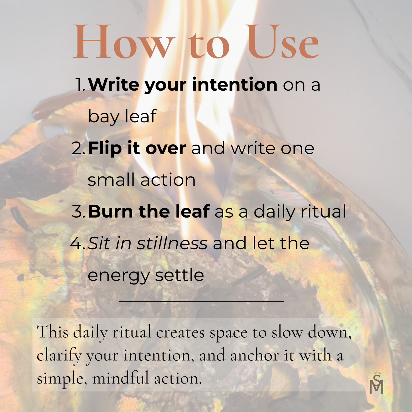 INTENTION // Bay Leaves - 100 Ritual Leaves