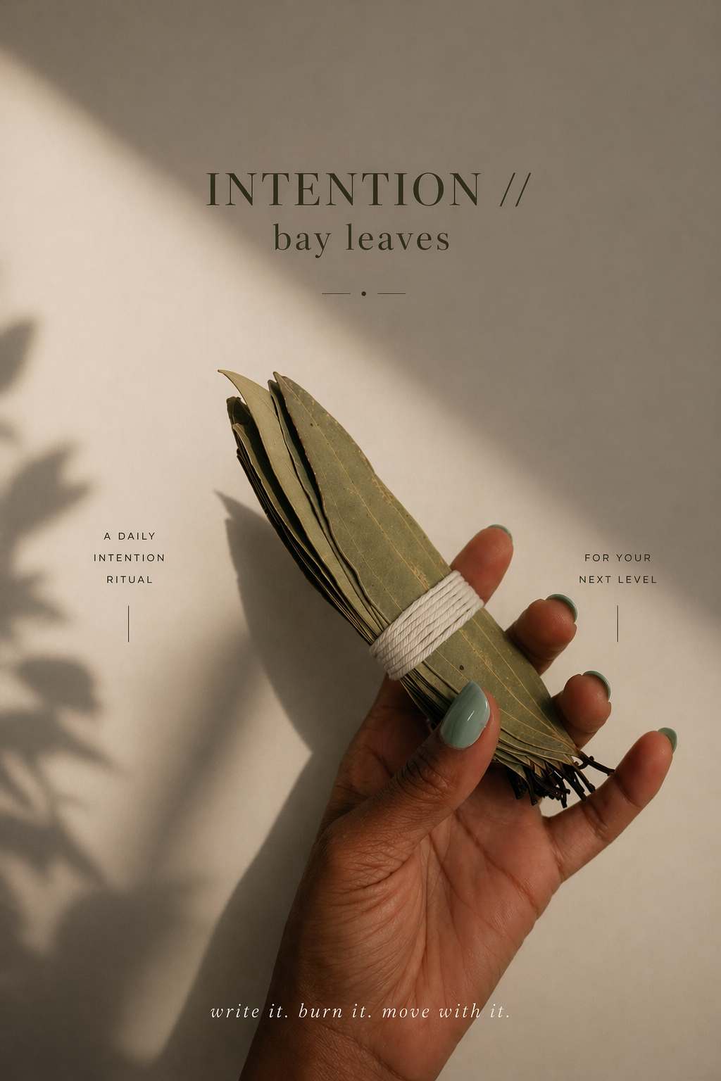 INTENTION // Bay Leaves - 30 Ritual Leaves