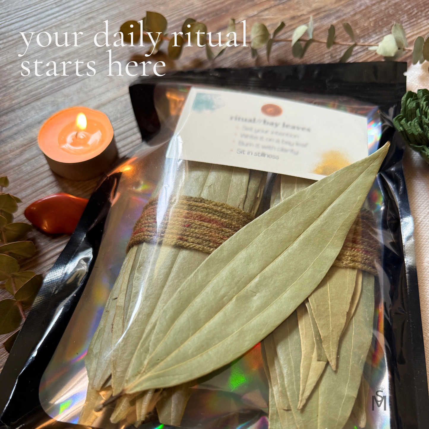 INTENTION // Bay Leaves - 100 Ritual Leaves