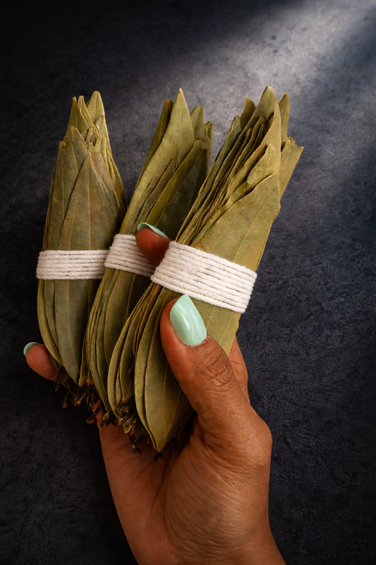 Hand-selected large bay leaves for intention writing and manifestation rituals