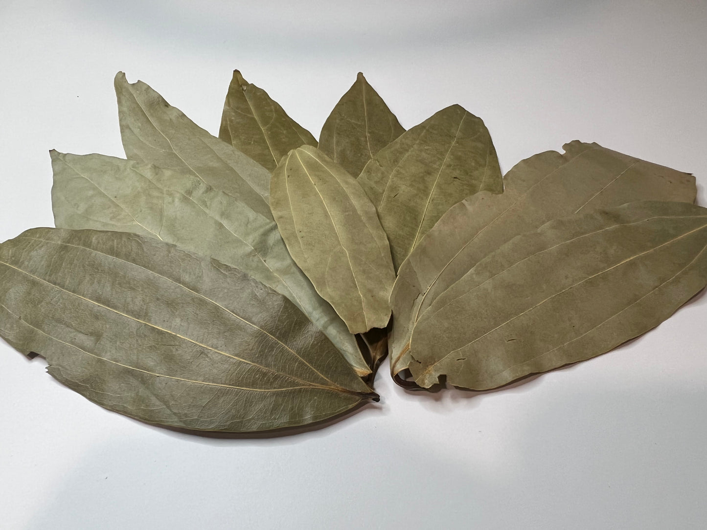 Bay Leaf Manifestation Starter Kit